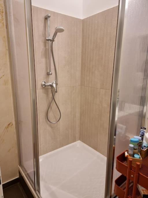 Sissi Royal Suite - Inner City 4 Bedroom Apartment Viyana Dış mekan fotoğraf